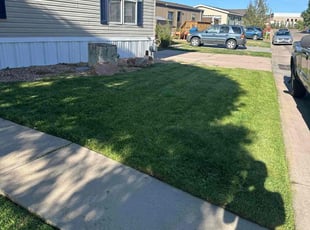 Patti G.'s grass cutting service result