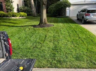 Nancy H.'s lawn service service result