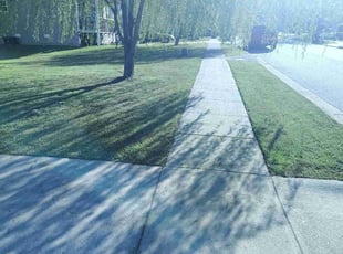 Lauren L.'s lawn care service result
