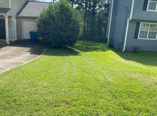 Bonita T.'s grass maintenance service result