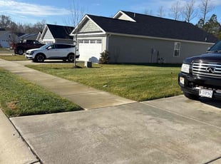 Monique S.'s lawn service service result