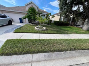 Tenise E.'s lawn care service result