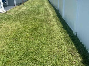 James R.'s turf care service result