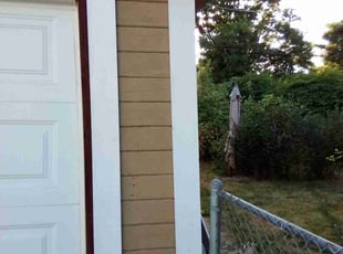 Mary B.'s Bush Trimming service result