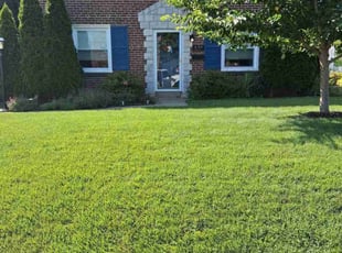 Jenna S.'s turf maintenance service result