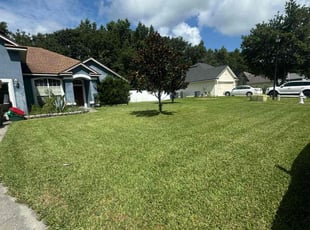 Dan M.'s grass cutting service result