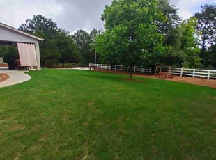Tiffany S.'s turf care service result
