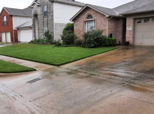 Ray L.'s turf care service result