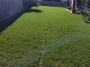 Jonna C.'s lawn service service result
