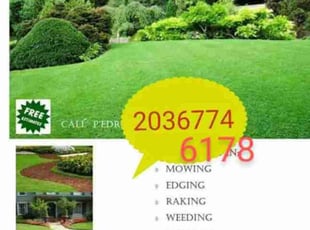 Jason E.'s Bush Trimming service result