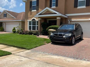Whitney B.'s grass maintenance service result