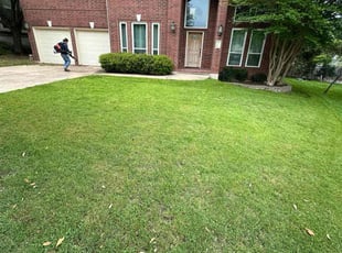 Tony R.'s lawn care service result