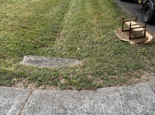 Ryan N.'s grass cutting service result