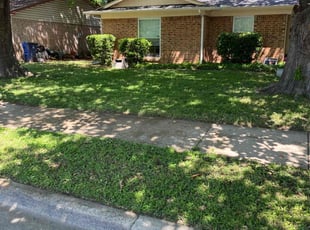 Dulce M.'s lawn care services service result