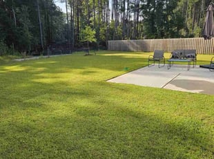 Shannon H.'s yard care service result