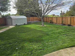 Bradley N.'s turf care service result