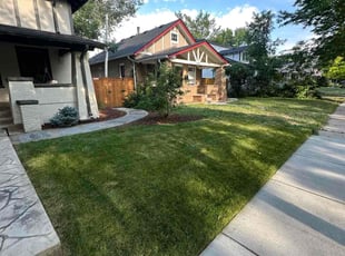 Len M.'s lawn care services service result