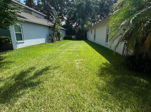 Carol W.'s grass cutting service result