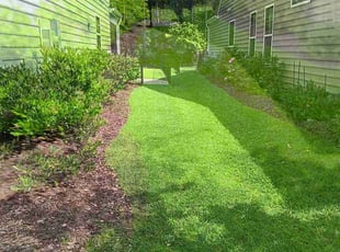 Kim N.'s grass cutting service result