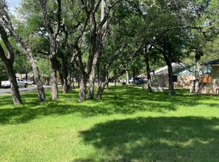 Durga P.'s lawn care services service result