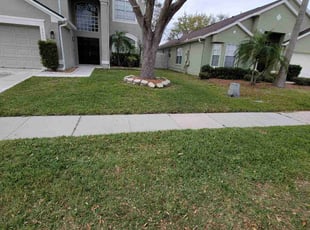 Jeffrey L.'s Leaf Removal service result
