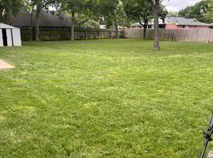 Erica C.'s lawn care service result