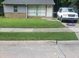 Calvin C.'s lawn care service result