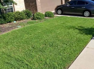 Elizabeth D.'s landscaping services service result