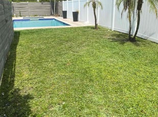 Weiwei E.'s lawn service service result