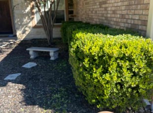 Cherry L.'s Bush Trimming service result