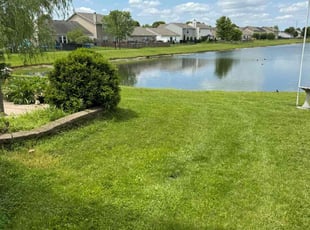 Kristen R.'s residential landscaping service result