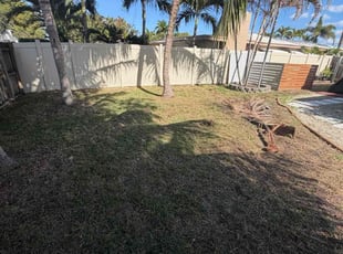 Chris S.'s lawn care services service result