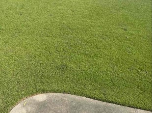 Linda H.'s grass cutting service result
