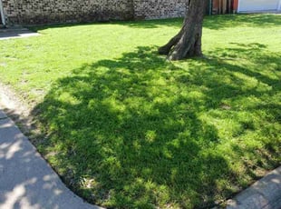 Kim a.'s grass cutting service result