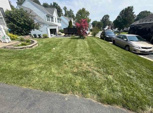 Shannon L.'s turf care service result