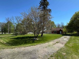 Derrick C.'s grass cutting service result