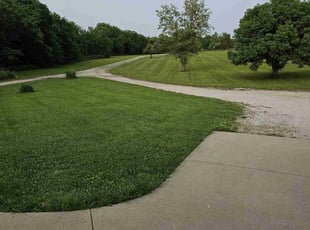 Kris W.'s turf care service result