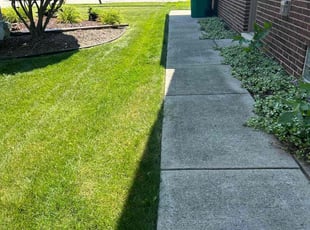 Zoryana H.'s lawn service service result