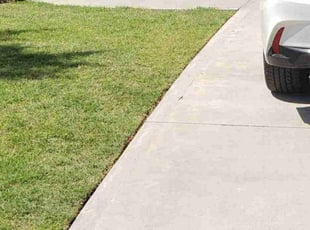 Becky P.'s lawn service service result