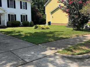 Sam G.'s turf care service result