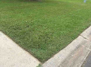 Omar R.'s turf care service result