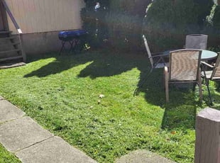 Annette P.'s lawn care service result