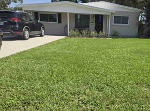 Tracey N.'s lawn care service result