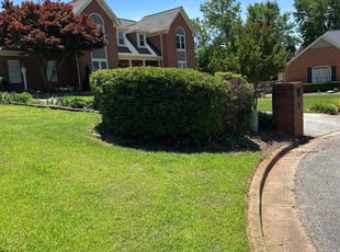 Janis R.'s Bush Trimming service result