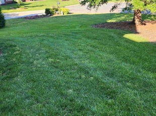 Justin A.'s lawn service service result