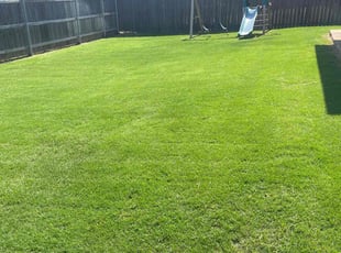 Hiep P.'s yard service service result