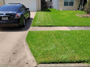 Edmond D.'s lawn care services service result