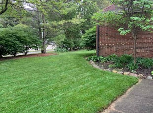 Susan M.'s turf care service result