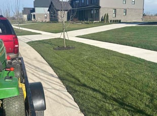 Ravi C.'s lawn maintenance service result