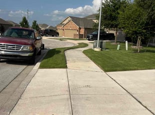 Carolyn C.'s grass maintenance service result